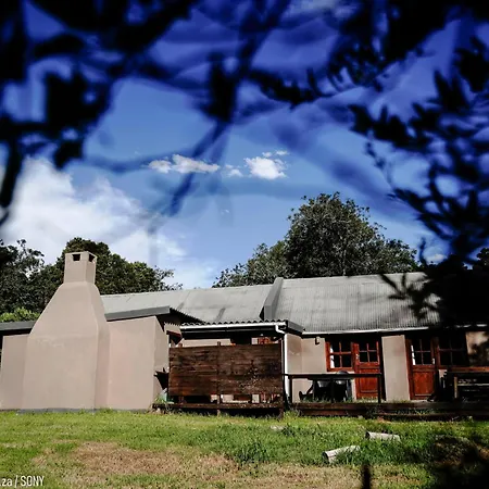Strawberry Hill Farm Villa Heidelberg  Room photo