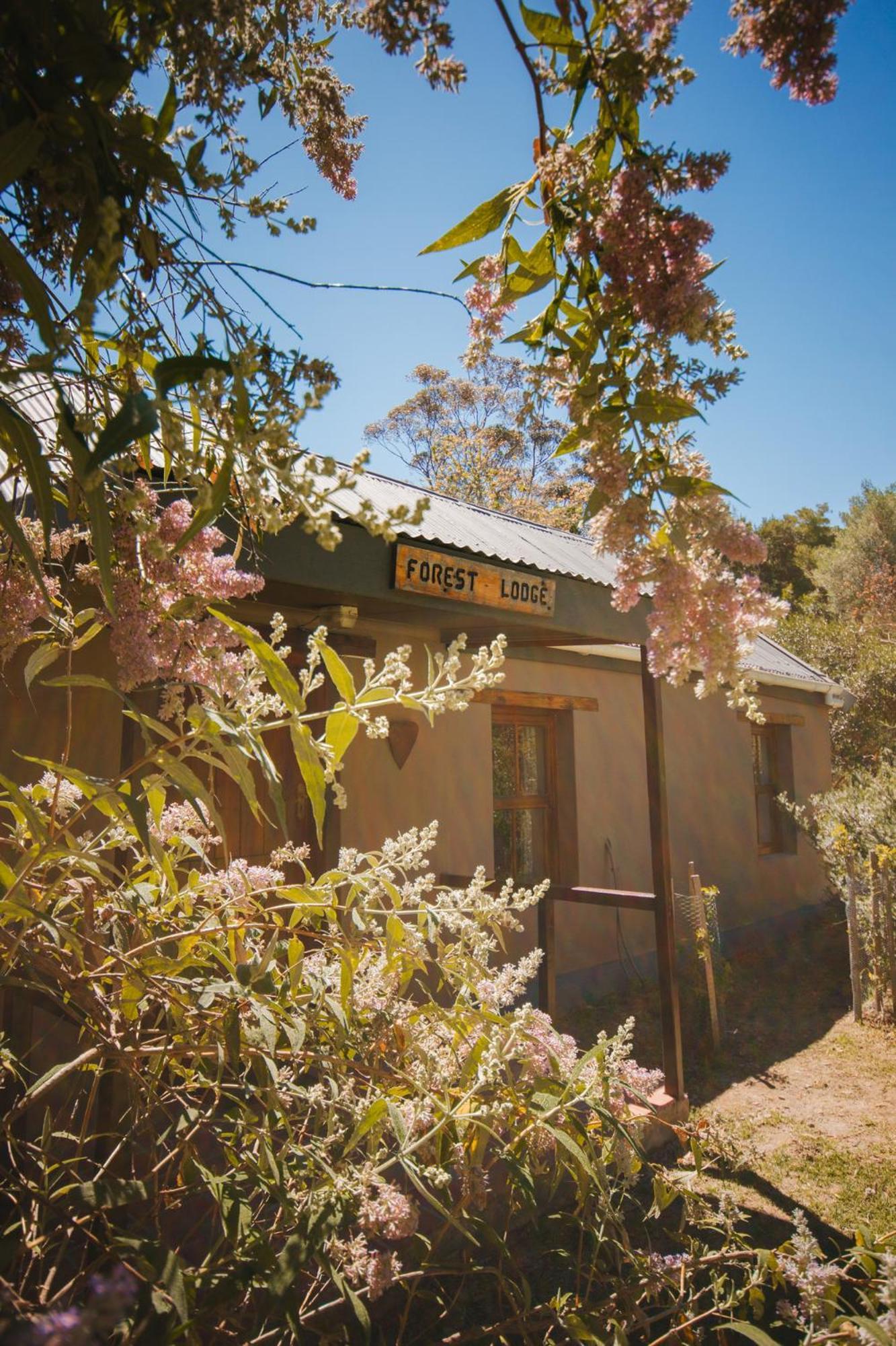 Strawberry Hill Farm Farm stay Heidelberg (Western Cape)